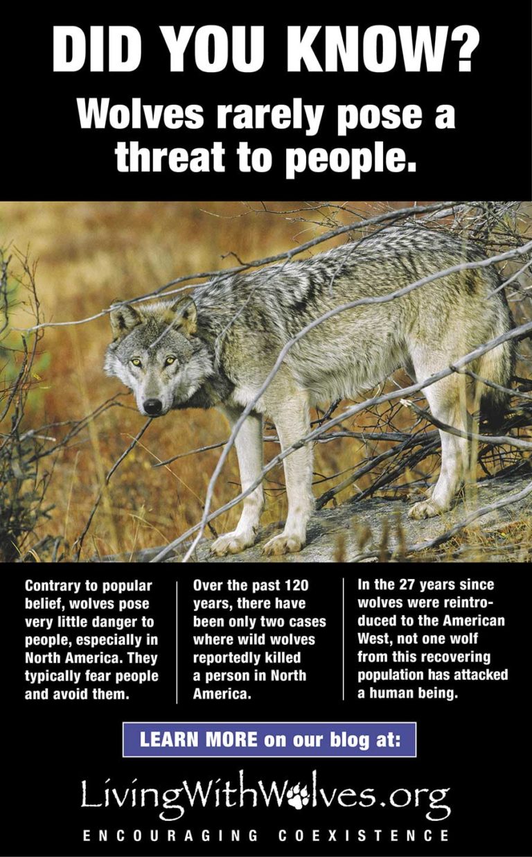 DID YOU KNOW? Wolves rarely pose a threat to people. - Living with Wolves