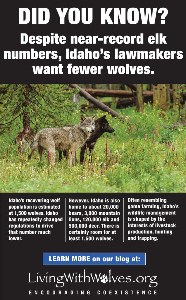 DID YOU KNOW? Despite near-record elk numbers, Idaho's lawmakers want ...