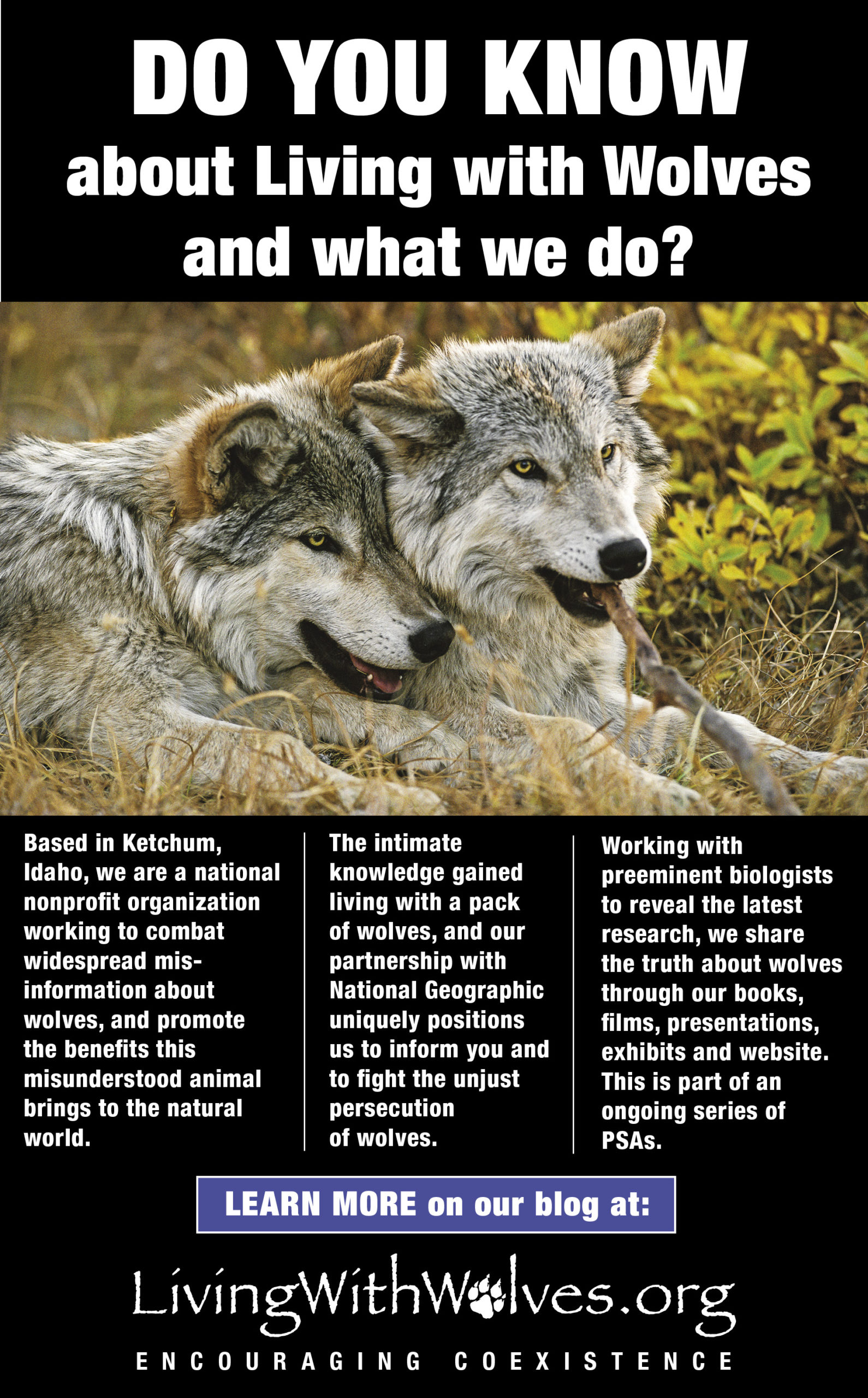 DO YOU KNOW about Living with Wolves and what we do? - Living with Wolves