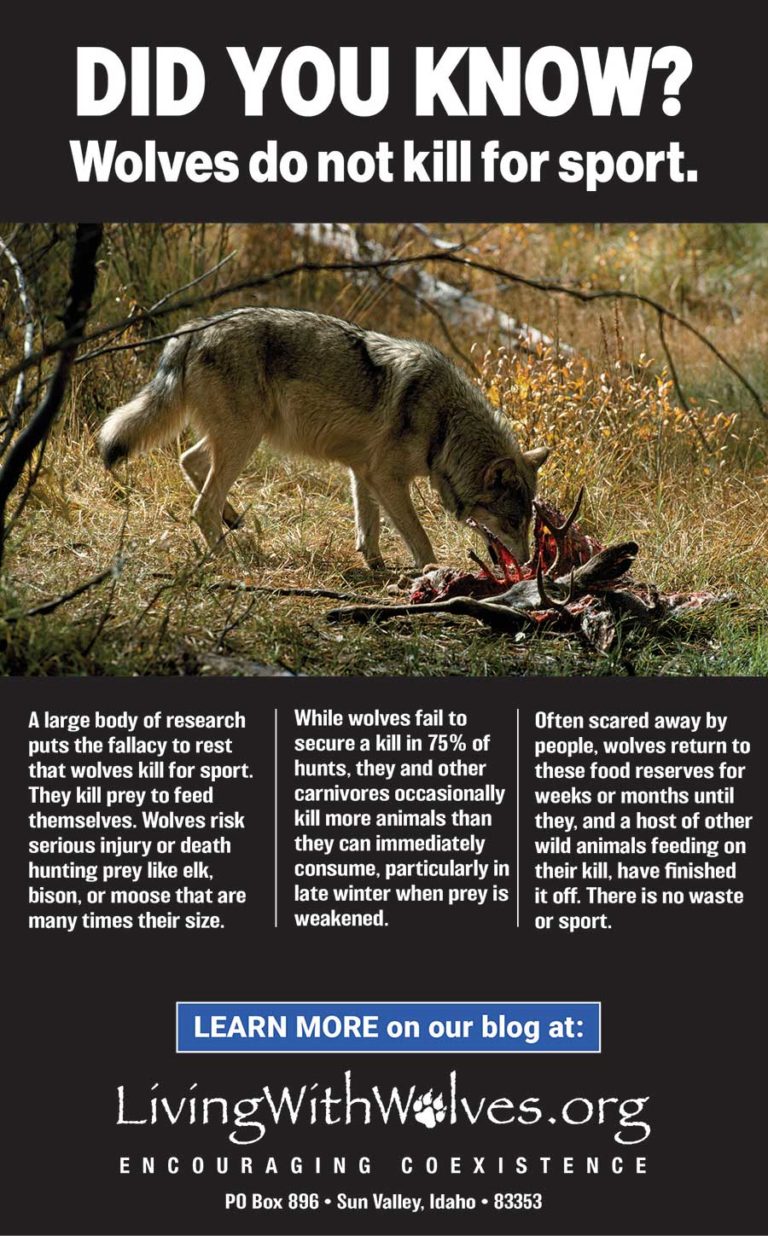 In the News - Living with Wolves