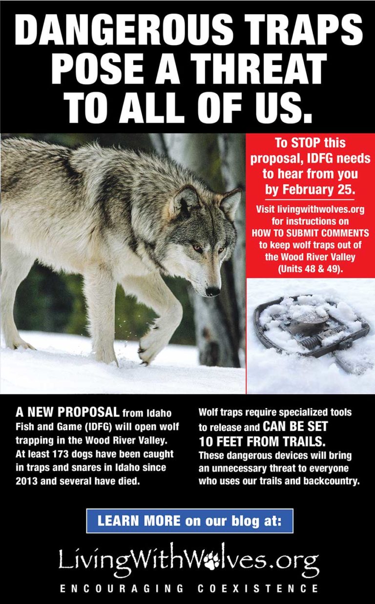 In the News - Living with Wolves