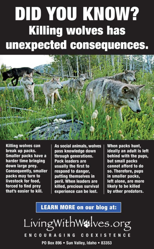 In the News - Living with Wolves