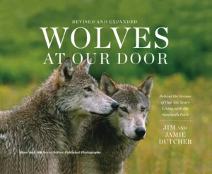 Wolves at Our Door book cover